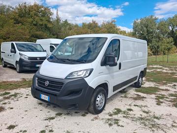 FIAT DUCATO TETTO BASSO PASSO MEDIO - MOTORE 2300c