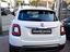 Immagine 4