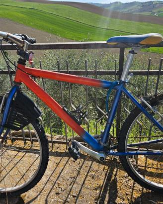 Mountain bike