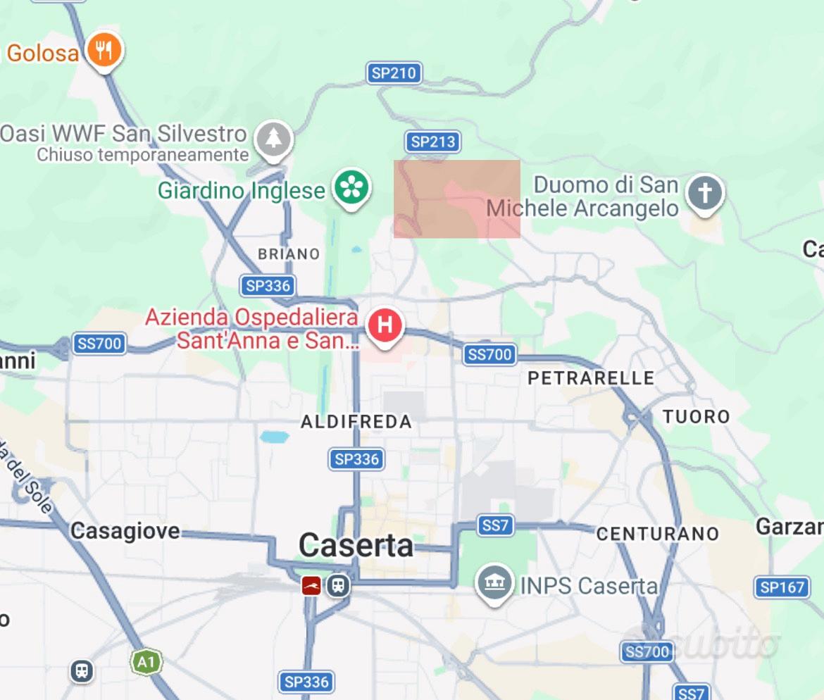 Terreno agricolo 3.100 mq - Mezzano (CE) - Vista 5