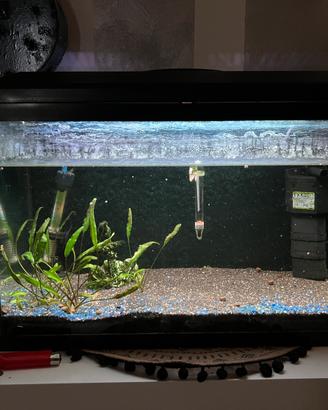 Acquario completo con accessori + kit aquascaping