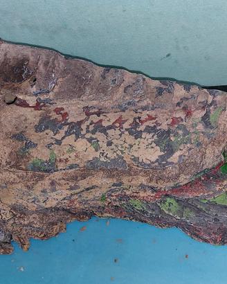 Tartarughiera con vetro frontale a onda