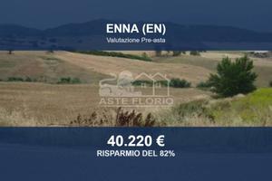 Immobile in asta di 196468 m² a Enna