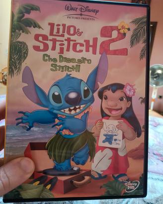 dvd consegna a mano Lucera foggia 