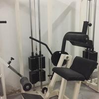 Lower back machine professionale Fassi