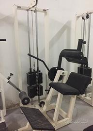 Lower back machine professionale Fassi