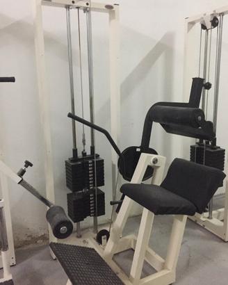 Lower back machine professionale Fassi