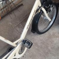Triciclo rosignoli da adulti