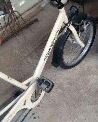 Triciclo rosignoli da adulti