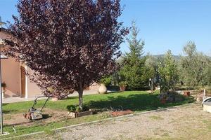 Rif.AA-V01| villa massa marittima