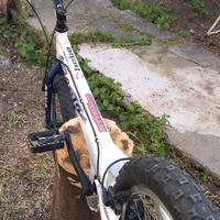 Bike trial modello Onza comp.