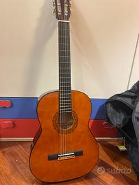 Chitarra Eko