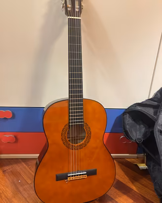 Chitarra Eko