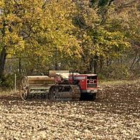 Massey ferguson 174c con lama apripista