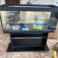 Acquario 120/40/50
