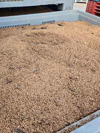 Nocciolino per termo stufe