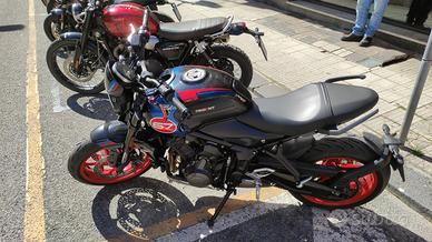 Triumph trident Tribute 2025