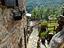 Immagine 11