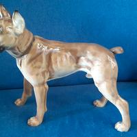 Hutschenreuther boxer