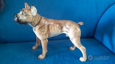 Hutschenreuther boxer