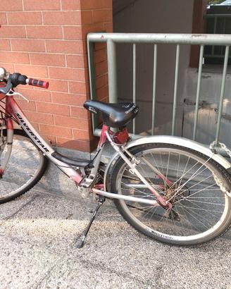 bicicletta