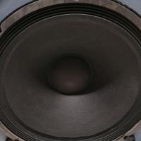 Electro Voice EVM 15B woofer 8 Ohm 400watt