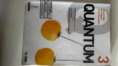 Quantum 3
