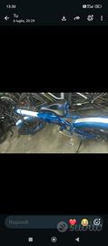 bici elettrica