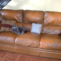 DIVANO IN PELLE CHATEAU D' AX