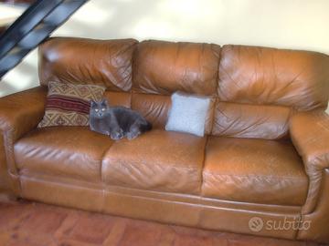 DIVANO IN PELLE CHATEAU D' AX