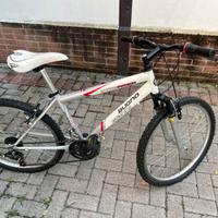 Bici STRE AMER Gianni Bugno (R24)