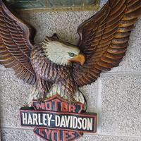 Aquila decorativia Harley Davidson 
