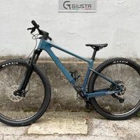 MTB FOCUS RAVEN