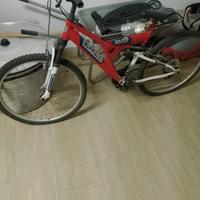 Mountain bike 