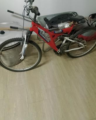 Mountain bike 