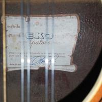Chitarra 12 corde 