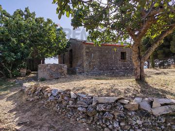 Terreno - Piazza Armerina