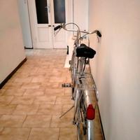 Bicicletta vintage da uomo