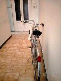 Bicicletta vintage da uomo