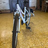 Bicicletta da ragazza