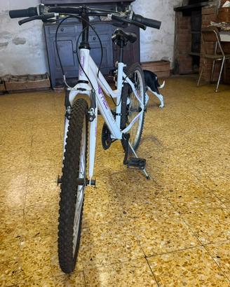 Bicicletta da ragazza