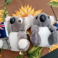Coppia di piccoli Koala australiani 