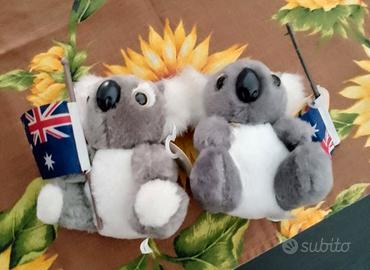 Coppia di piccoli Koala australiani 
