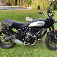 Ducati scrumbler 800 icon dark