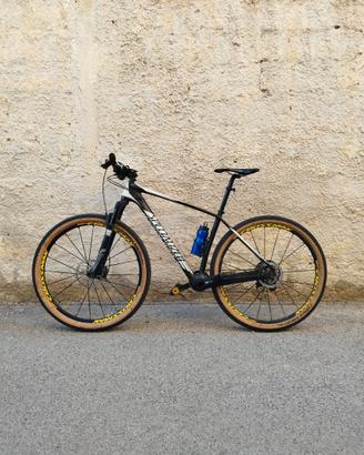 Specialized Stumpjumper
