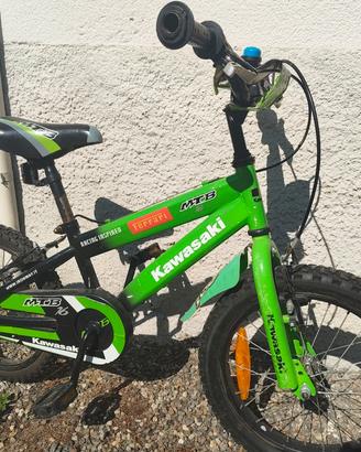 Bicicletta Kawasaki bimbo