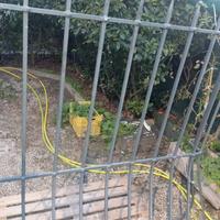 grata inferriata per finestre 