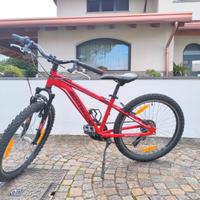 Mountain bike 24 pollici Bottecchia