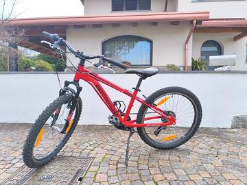 Mountain bike 24 pollici Bottecchia