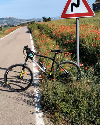 Mountain bike mtb rockrider